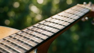 緑のボケと暖かい日差しの中のギター弦のクローズアップ。 — 音楽 美学 壁紙