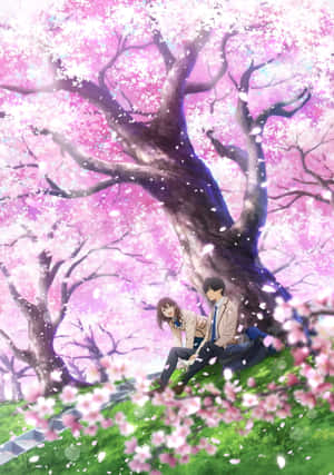 アニメ桜の背景 — Vivo Pad5 壁紙