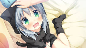 アニメ風フード付き猫娘の壁紙 — かわいいアニメのプロフィール画像 壁紙
