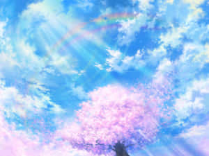 明るい背景 — 桜 壁紙