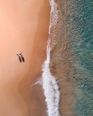 オーストラリア、ボンダイビーチの空中写真の壁紙 — iPhone 7 壁紙