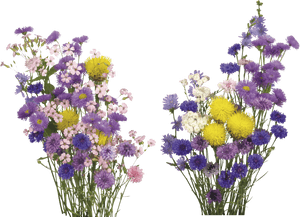 カラフルな花束の透明背景