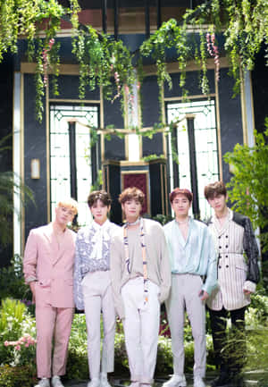 nuest — Kpop GIF 壁紙