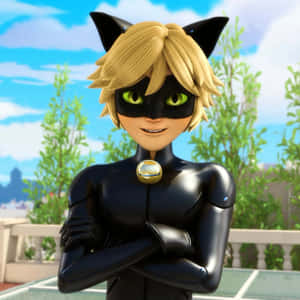 キャットノワールの画像 — キャット・ノワール 壁紙