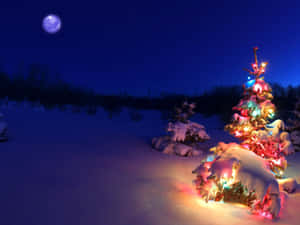 クリスマス・キャロルの背景 — クリスマス・キャロル 壁紙