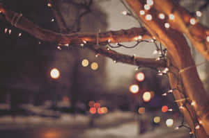 クリスマスライトの背景 — クリスマスライト 壁紙