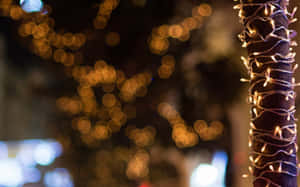 クリスマスライトの写真 — クリスマス エスセティック 壁紙