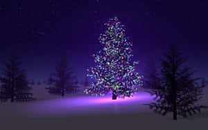クリスマスツリーの背景 — クリスマスツリー 壁紙