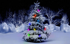 クリスマスデスクトップの雪化粧ツリー壁紙 — クリスマス 壁紙