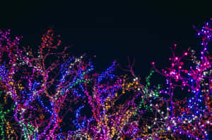 クリスマス美学 4928×3264 背景 — クリスマス エスセティック 壁紙