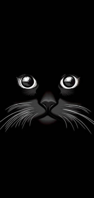 クールな黒猫 — Samsung S23 壁紙