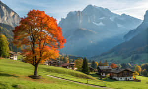 村の風景、木、山、山の美しい風景、自然、自然4K、自然の美しさ、風景写真 — 自然 壁紙
