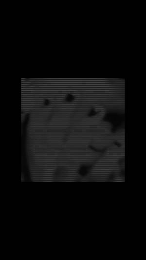 ゴシック美学