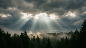 霧の森の上で雲を突き抜ける太陽の光線。 — 空の眺め 壁紙