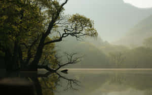 1280x800