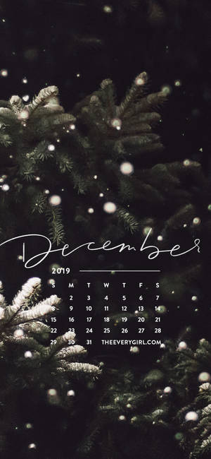 シンプルな12月クリスマスiPhone壁紙 — 居心地の良いクリスマスの美学 壁紙