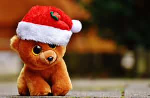 かわいい美意識あふれるクリスマス写真