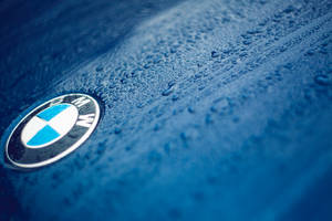 水滴がついた青い車に映るBMWロゴのクローズアップ壁紙