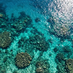 サンゴ礁が広がるターコイズブルーの海の空撮。 — 海 壁紙