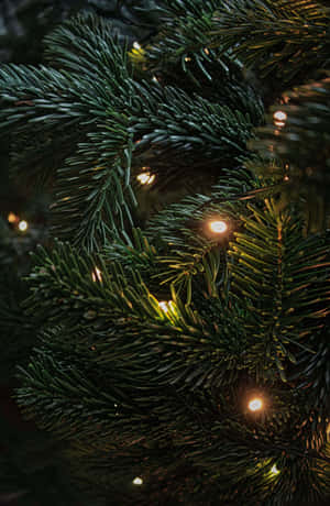 ダークなクリスマスシーン — IQOO Pad5 Pro 壁紙