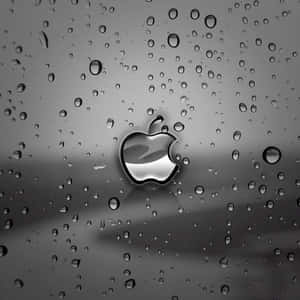 ダークキュートなiPad