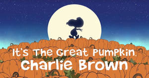 チャーリー・ブラウンのハロウィンカボチャの壁紙