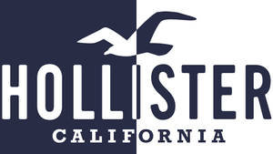 ツートーンのHollisterロゴ 壁紙 — Chromebook 壁紙