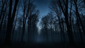 夕暮れ時の暗い森のシルエット、霧と星々。 — ブラックエステティック GIF 壁紙