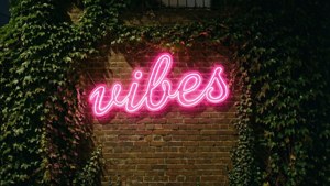 夜、蔦に覆われたレンガ壁に輝く「Vibes」のネオンサイン。 — インディー エステティック GIF 壁紙