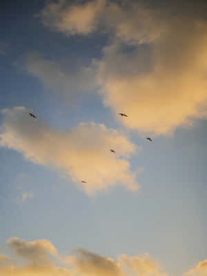 美しい空の画像 — 美的な空 壁紙