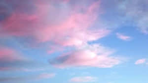 パステル調の美しい画像 — パステル エスセティック GIF 壁紙