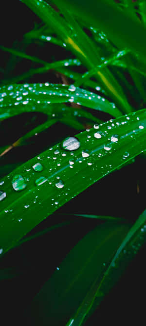 1080x2400 — Samsung galaxy s22 壁紙