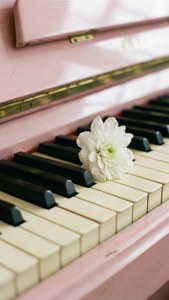 白い花が添えられたピアノの鍵盤、柔らかなパステルカラー。 — 音楽 美学 壁紙