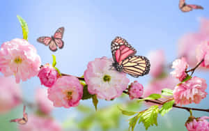 ピンクの花びらに蝶がとまっている