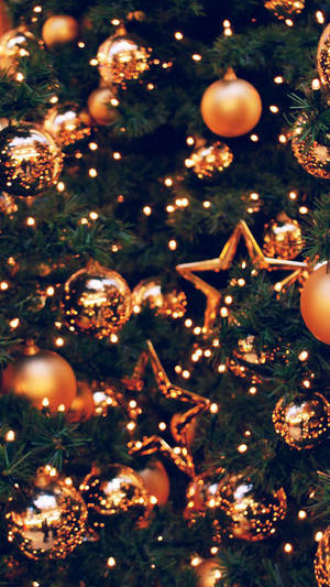 プレッピークリスマス — プレッピークリスマス 壁紙