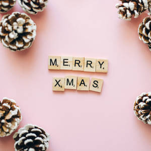 プレッピークリスマス — プレッピークリスマス 壁紙
