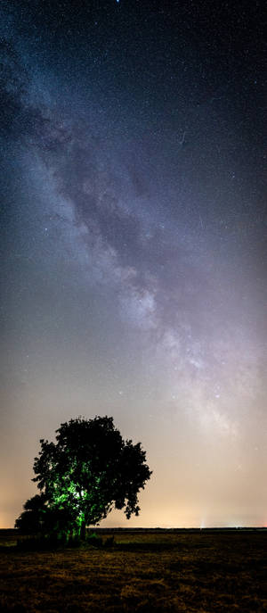 プレーンHD iPhone 夕暮れの田舎の空 — Pixel 10 壁紙