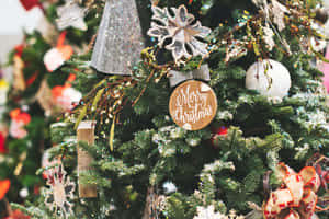 クリスマスフォト背景 — クリスマス 壁紙