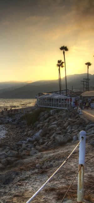 iPhone Xs マリブ 背景 — iPhone 11 Pro 壁紙