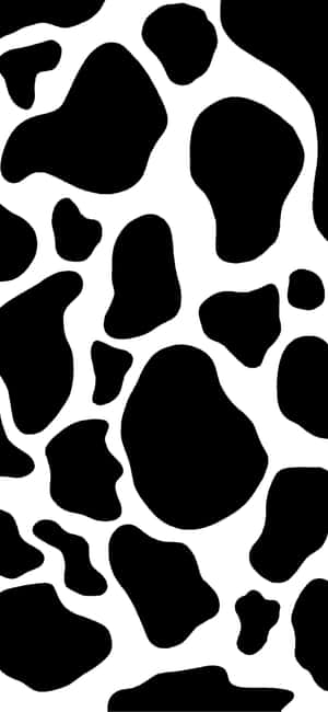 エステティックな白黒画像