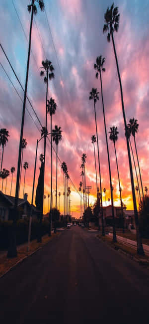 iPhone X カリフォルニア背景 — Honor X 壁紙