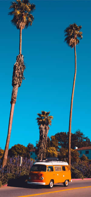 iPhone X カリフォルニア背景 — iPhone X 壁紙