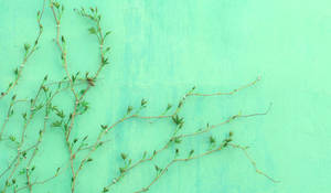 ライトグリーンな雰囲気のツル植物 — グリーン エステティック GIF 壁紙