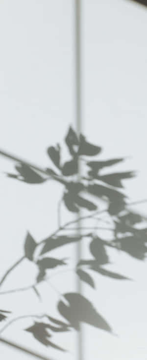1080x2636 — Motorola Razr 壁紙