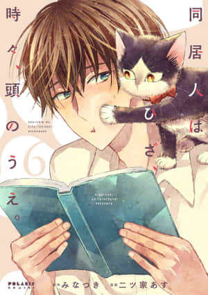 ルームメイトキャット - パティオでのんびり — かわいい猫 壁紙