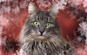 ふわふわの毛と可愛らしい鼻先を持つグレーの猫、雪の結晶が舞う冬の壁紙。クリスマスの動物たち。