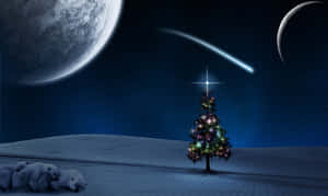 クリスマスツリーの背景 — クリスマスツリー 壁紙