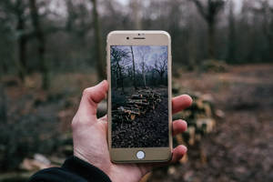 iPhoneで薪の写真を撮る人物 — iPhone 8 壁紙