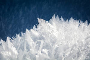 冬の氷晶の壁紙