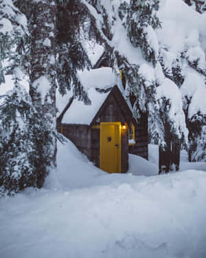 雪景色の美しい画像 — 雪の美学 壁紙